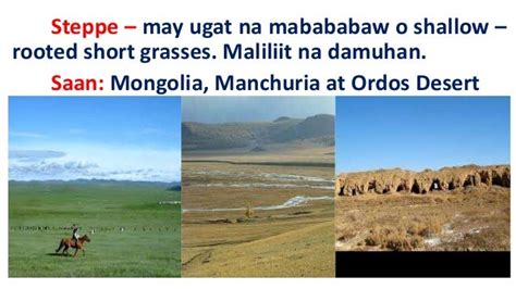 ano ang kahulugan ng taiga|taiga .